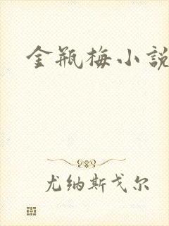 金瓶梅小说下载