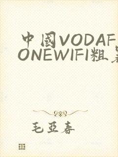 中国VODAFONEWIFI粗暴APP