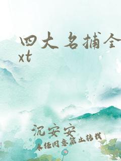 四大名捕全集txt