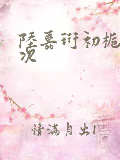 陆嘉珩初栀第一次