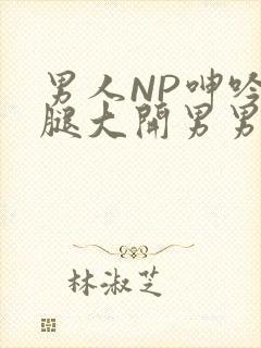 男人NP呻吟双腿大开男男小说