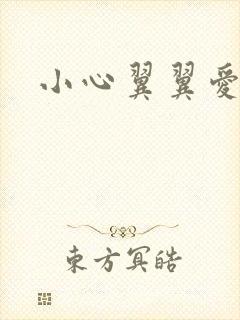 小心翼翼爱上你