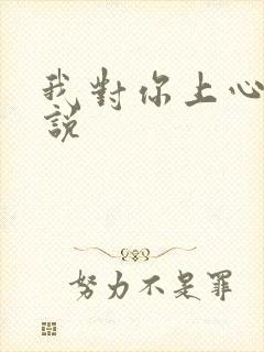 我对你上心了小说