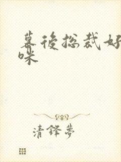 幕后总裁好孕妈咪