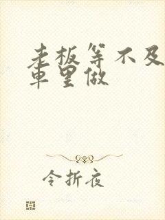 老板等不及了在车里做