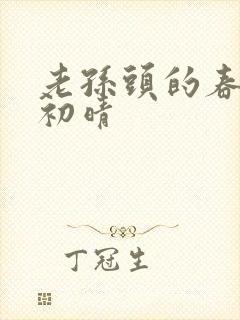 老孙头的春天林初晴