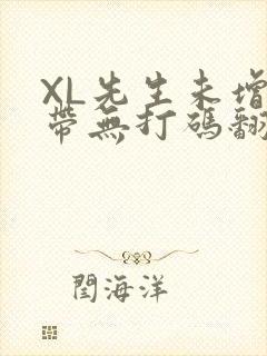 XL先生未增删带无打码翻译