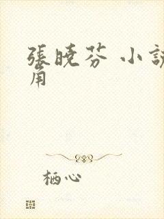 张晓芬 小说主角