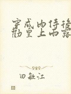 穿成内侍后总在劝皇上雨露均沾