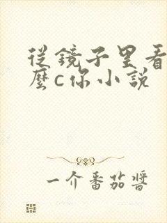 从镜子里看我怎么c你小说