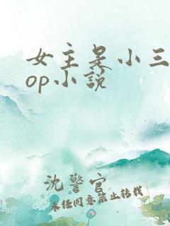女主是小三的pop小说