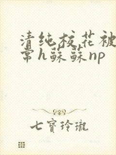 清纯校花被脔日常h苏苏np