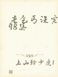 老乞丐没完没了98集