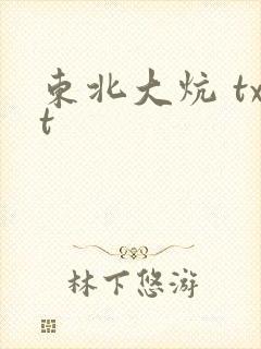 东北大炕 txt