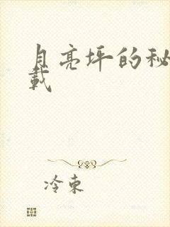 月亮坪的秘密下载