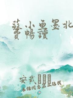 苏小鱼墨北枭免费畅读