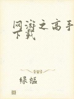 网游之高手寂寞下载