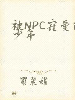 被NPC宠爱的少年