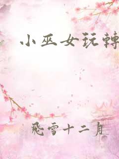 小巫女玩转古代