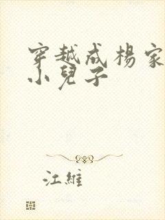 穿越成杨家将最小儿子