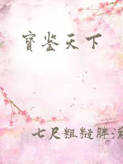 宝鉴天下
