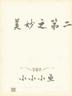 美妙之第二人生