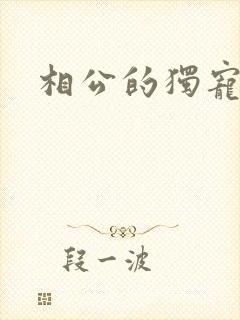 相公的独宠妻子