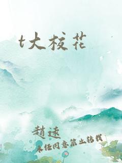 t大校花