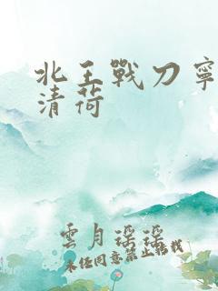 北王战刀宁北苏清荷