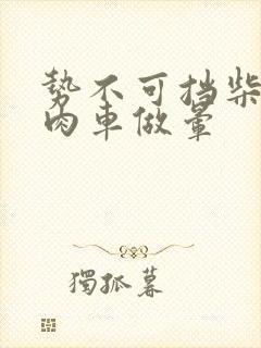 势不可挡柴鸡蛋肉车做晕