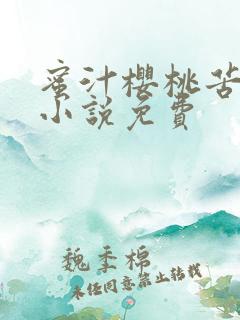 蜜汁樱桃苦咖啡小说免费