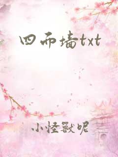 四面墙txt