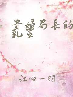 贵妇局长的蕾丝乳罩