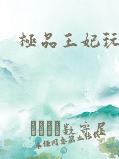 极品王妃玩古代