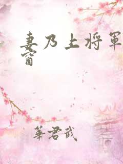 妻乃上将军无弹窗