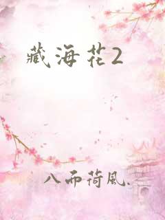 藏海花2