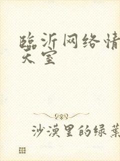 临沂网络情缘聊天室