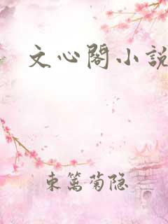 文心阁小说