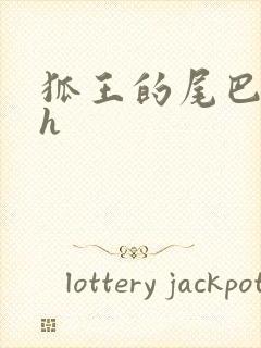 狐王的尾巴高ah