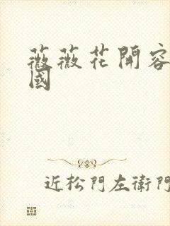 薇薇花开容颜倾国