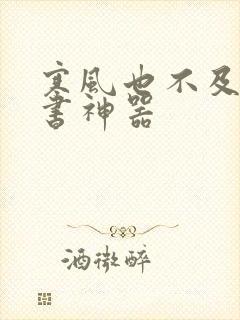 寒风也不及她追书神器