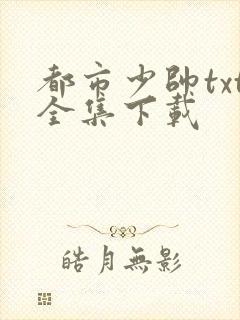 都市少帅txt全集下载