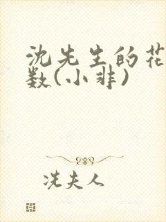 沈先生的花式调数(小非)