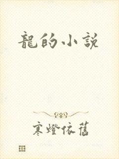 龙的小说