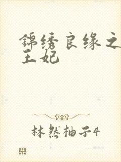 锦绣良缘之北地王妃