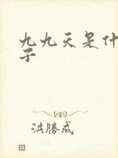 九九天是什么日子