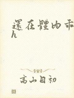 还在体内乖吃饭h