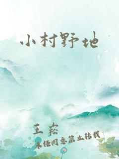 小村野地