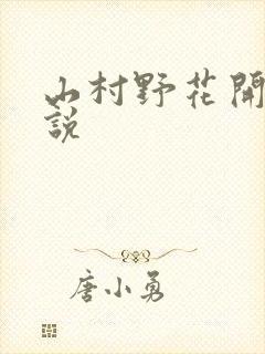 山村野花开 小说