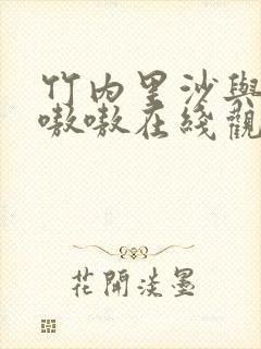 竹内里沙与黑人嗷嗷在线观看